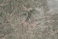 Tiger Skin Granite