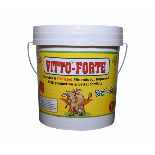 Vitto Forte