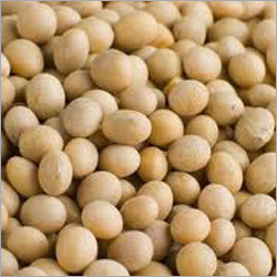 Nutritional Soyabean