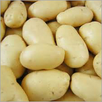 Potato