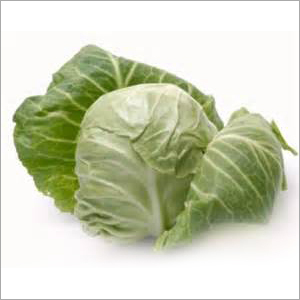 Cabbage