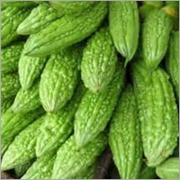 Bitter Gourd