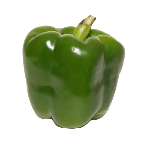 Bell Pepper