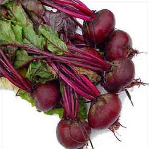 Beetroot