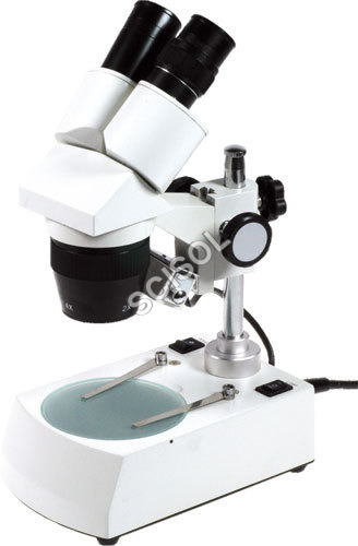 Stereoscopic Microscope