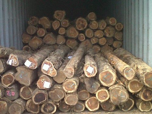 Teak Wood Round Logs