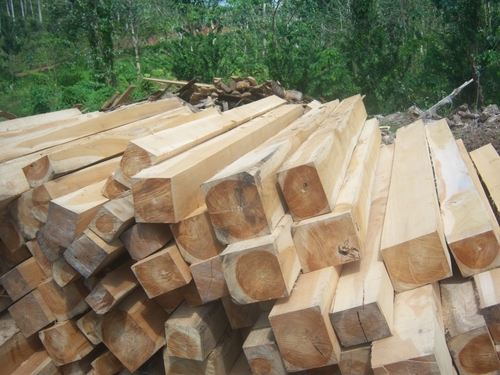 Rough Sawn Timber Rough Sawn Timber