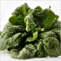 Fresh Spinach