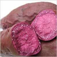 ऑर्गेनिक सब्जी