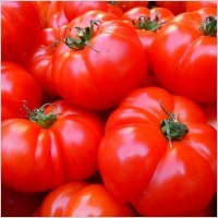 Desi Tomato