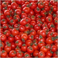 Cherry Tomato