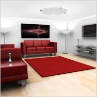 Decorative Furniture