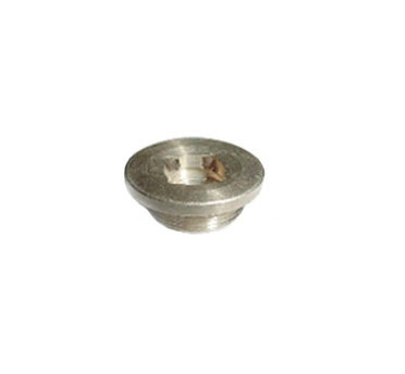 CYLINDER HEAD PLUG