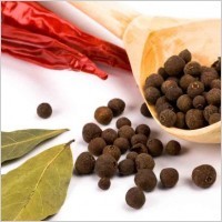 Spice Seasonings