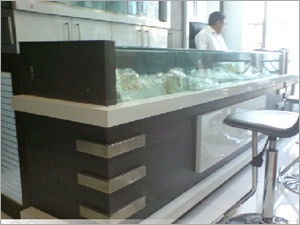 Interior Designer of Showrooms