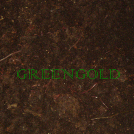 Paddy Straw Vermiculture