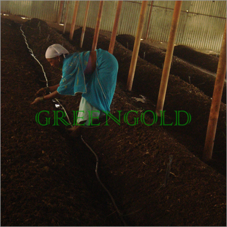 Vermiculture