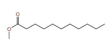 Methyl Undecanoate