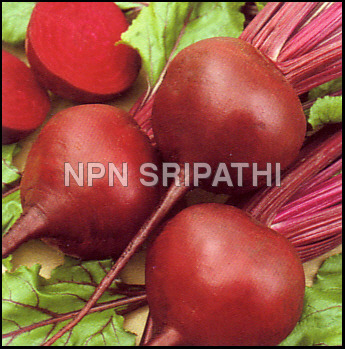 Beetroot