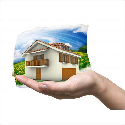 Real Estate Consultant