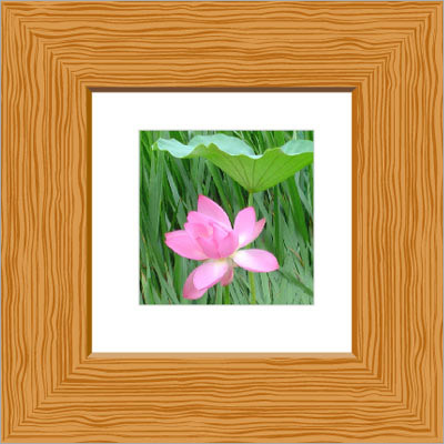 Wooden Frame