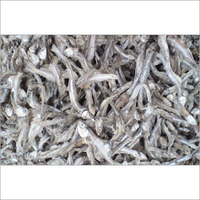 Dry Sea Fish