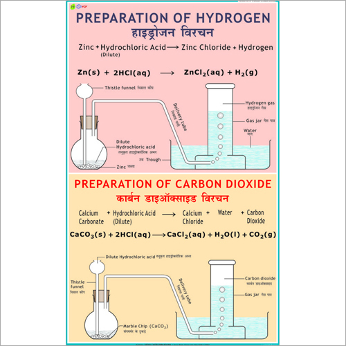 Preparation of Hydrogen & Carbon Dioxide Chart