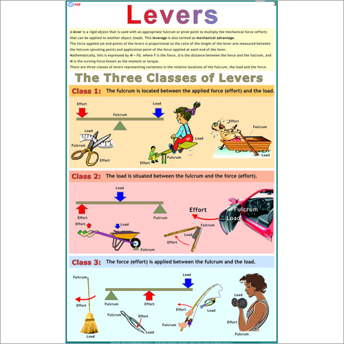 Three Kinds Of Levers Chart