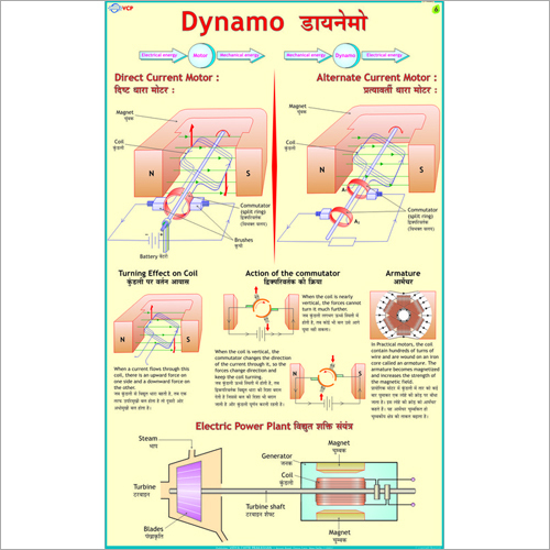 Dynamo Chart