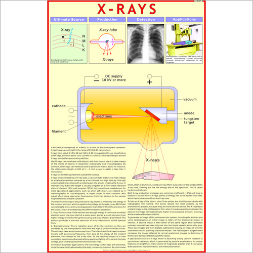 X-Rays Chart