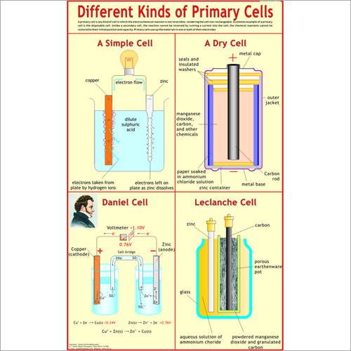 Different Kinds of Primary Cells Chart