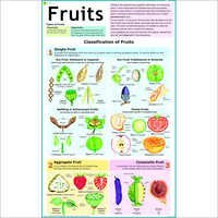Fruits Chart
