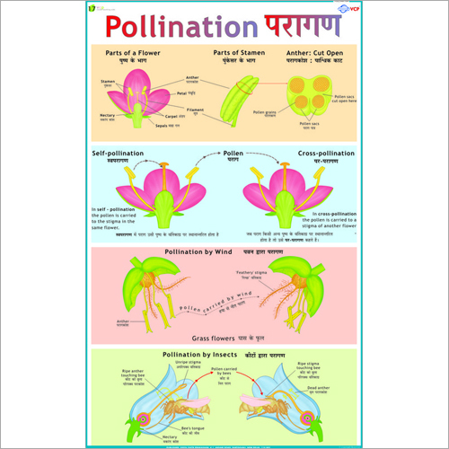Pollination Chart