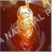 Natural Eucalyptus Honey