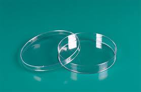 Petry Dish