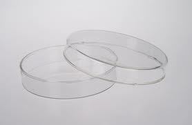 Petry Dish