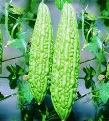 Fresh Bitter Gourd - 15-25 cm, Green | High Yield, Disease Resistant, Nutritious, Firm Texture
