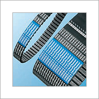 OMEGA Fan Power Belt