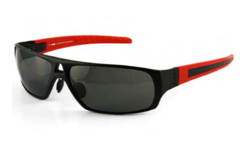 Polarized Sunglasses