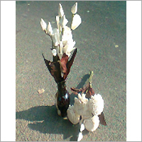 Sola Rose Jhar