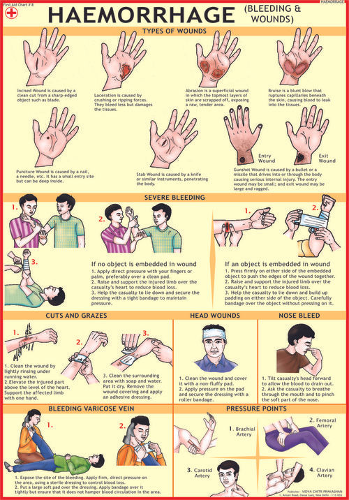 First Aid Charts