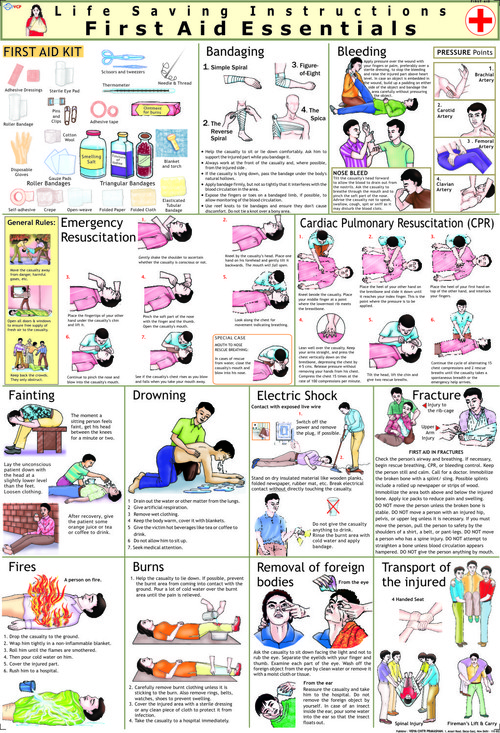 First Aid Essentials Chart