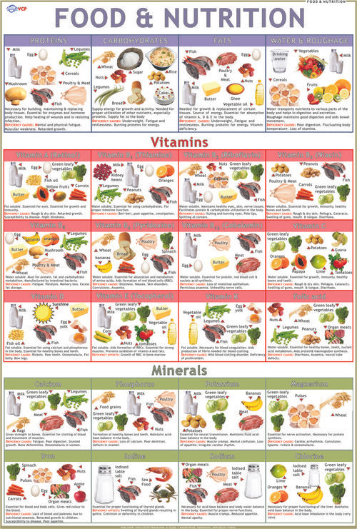 Food Groups Chart - Food Groups Chart Manufacturer ...