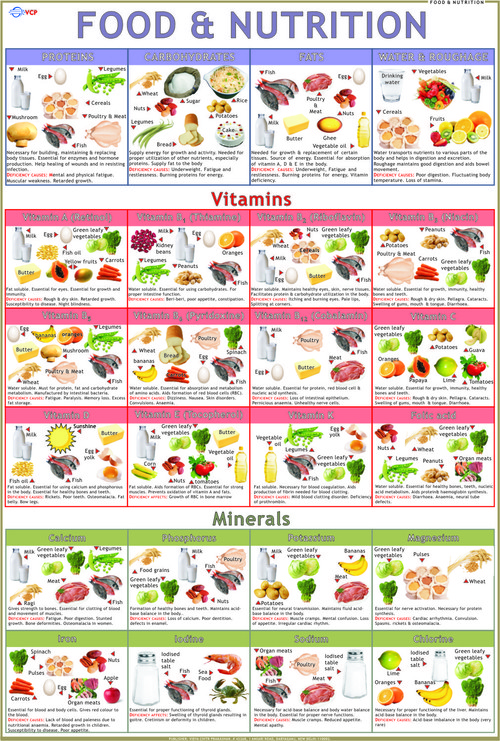 Food & Nutrition Charts