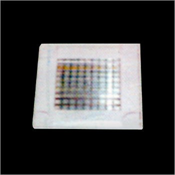 Street LED Light