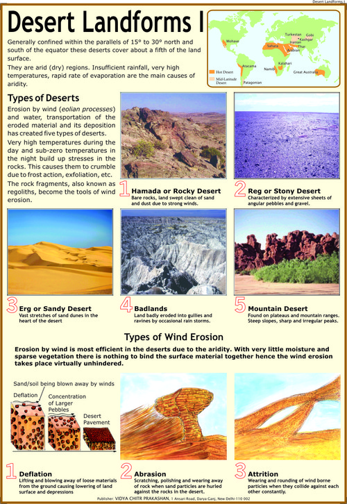Desert Landforms : Types of Deserts & Wind Chart