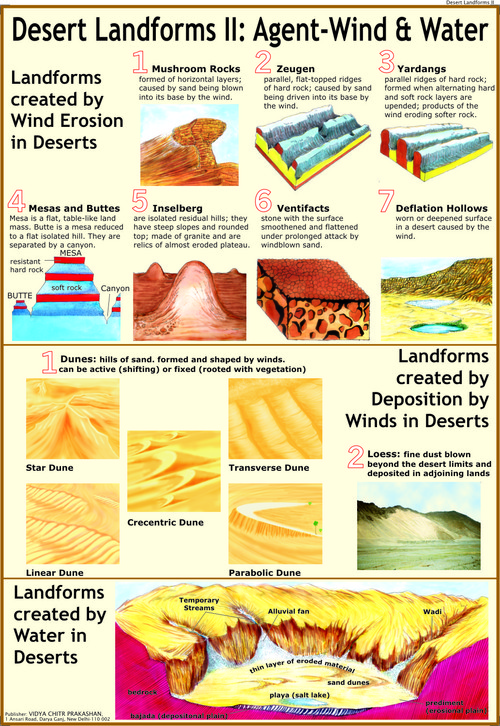 Desert Landforms 2:Landforms created by Wind Chart