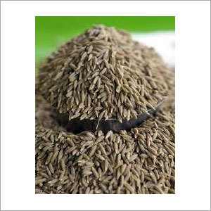 Whole Cumin Seeds