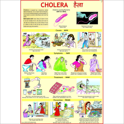 Cholera Treatment Chart