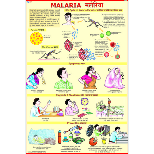 Malaria Symptoms Chart